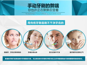 博皓充電旋轉(zhuǎn)式電動(dòng)牙刷成人 自動(dòng)牙刷美白 2205價(jià)格 廠家 圖片